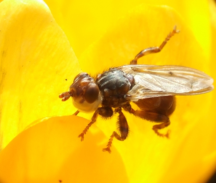 0904050020.JPG