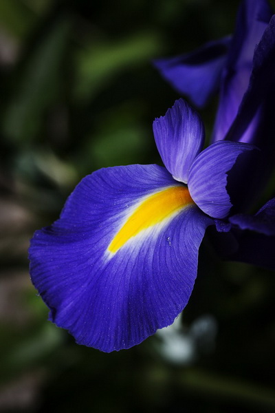 IMG_3073_2web.jpg
