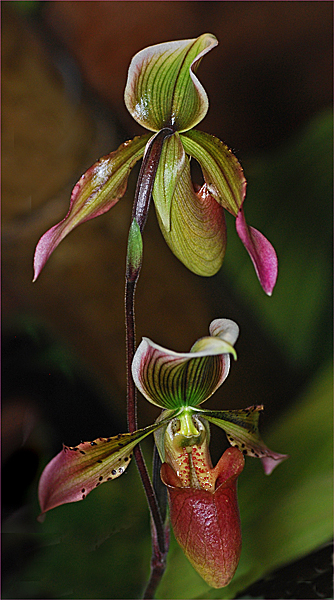CONCOURSNATURE600.jpg