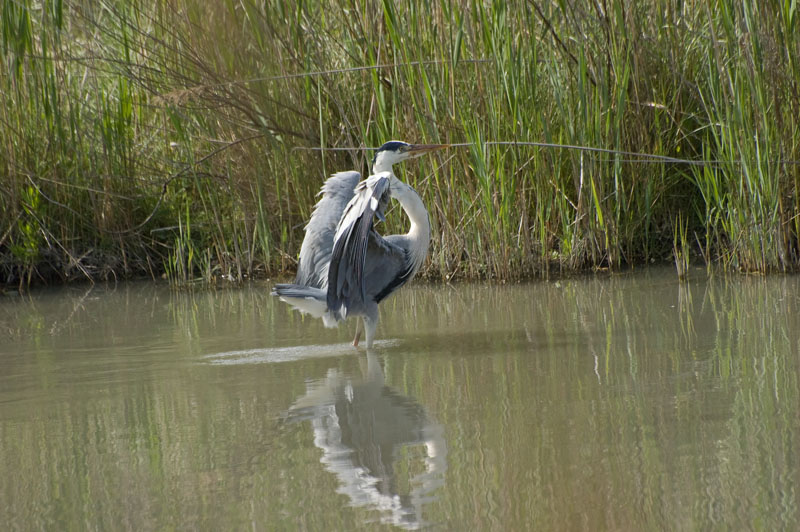 DSC_200.jpg