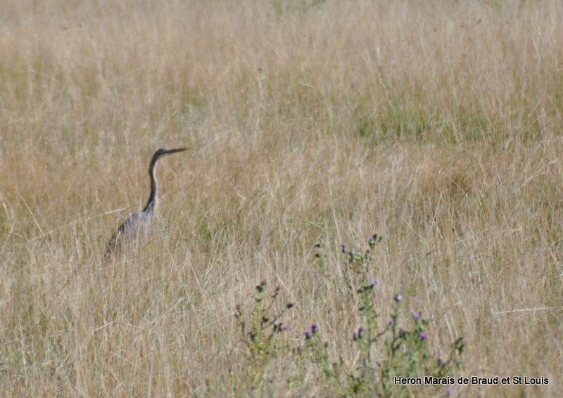 DSC_0149.JPG