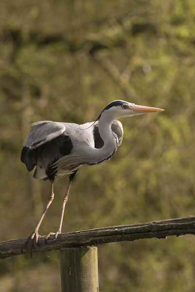 DSC_2049.jpg