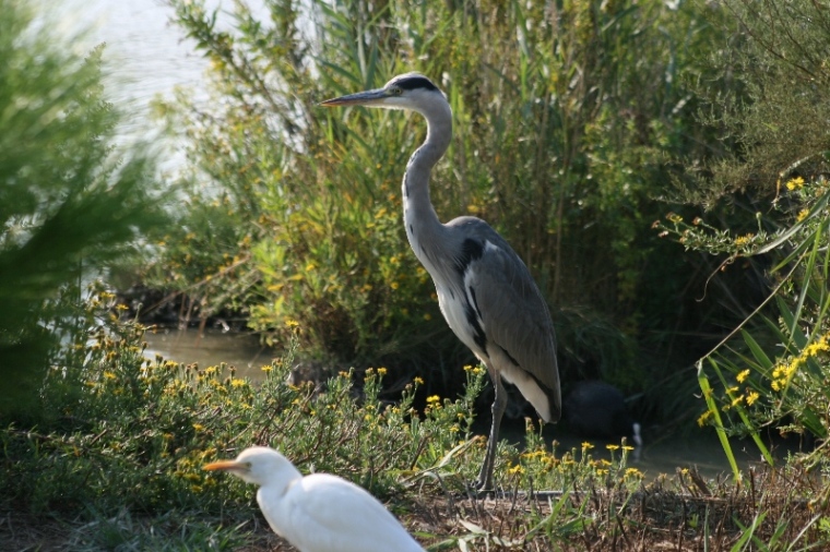 IMG_8159.JPG