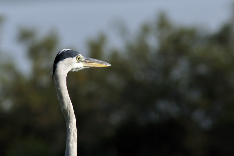 D90_20090930_3945-ok.jpg