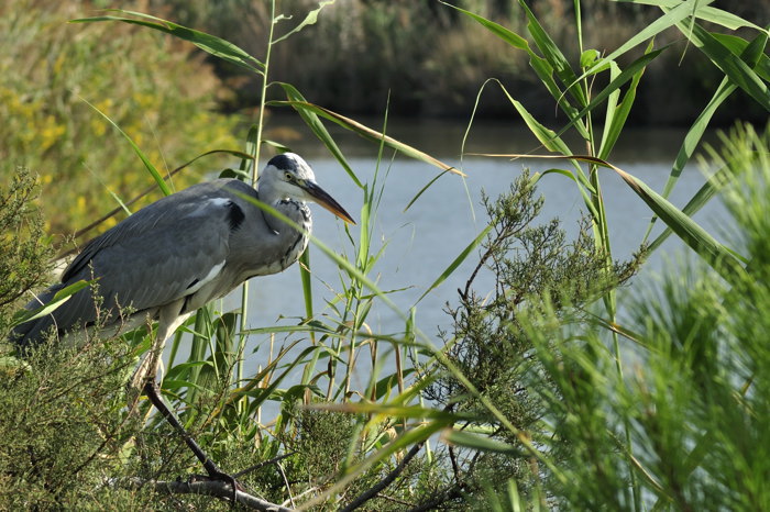 D90_20090930_3946-ok.jpg
