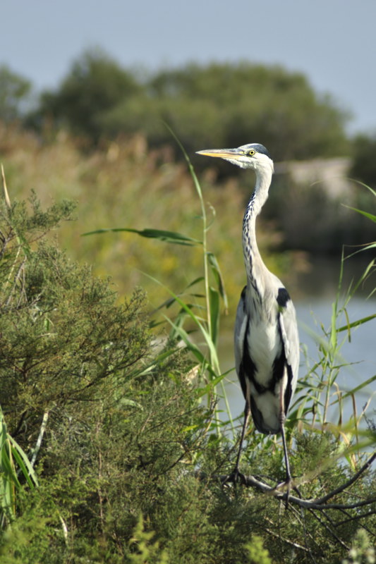 D90_20090930_3952_ok.jpg
