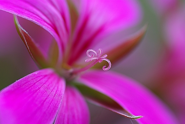 IMGP8370.JPG
