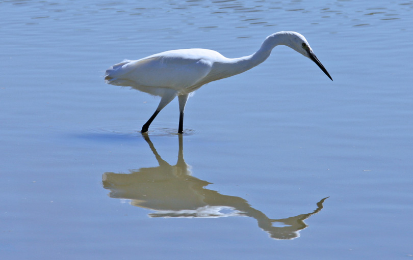 IMG_0968web.jpg
