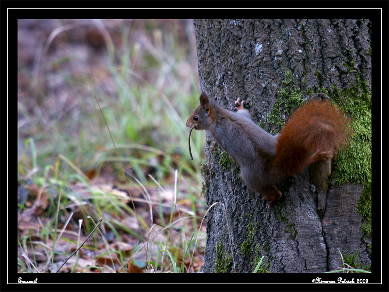 DSC08468.jpg