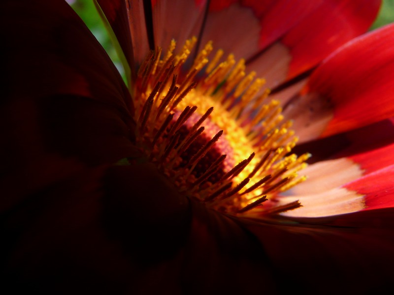 P1000089.JPG