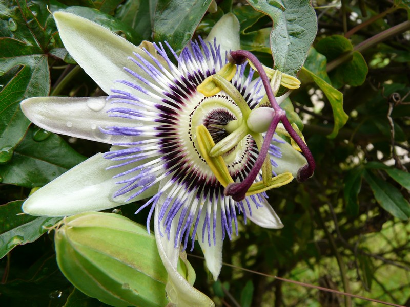 P1000042.JPG