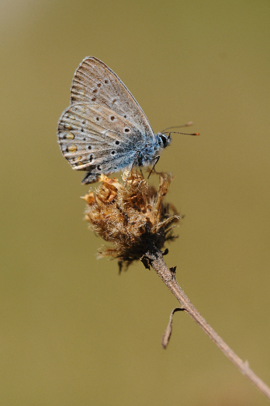 DSC_5864.jpg