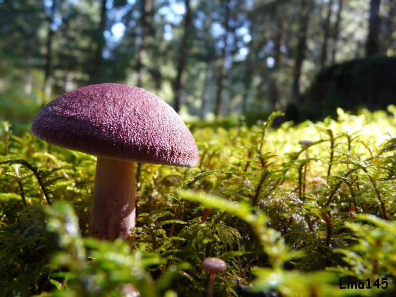 P1070209.JPG