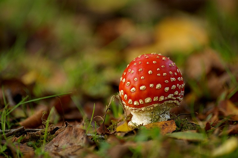 03 11 09 033 bis.jpg