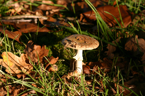 CRW_7780_JFR.JPG