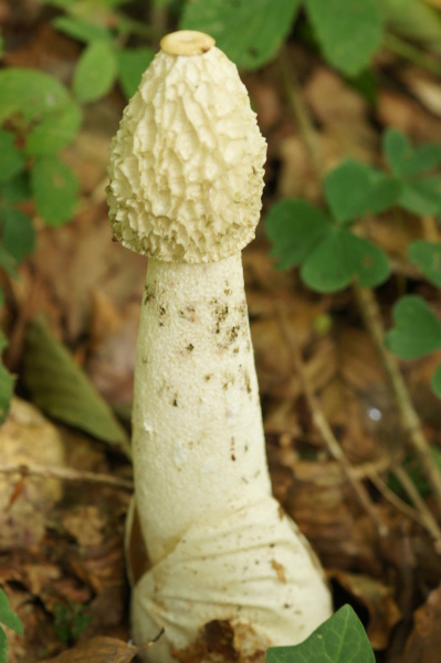 DSC03818.JPG
