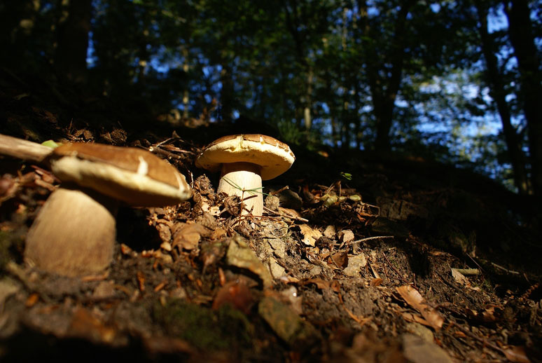 aimagDSC06188.jpg