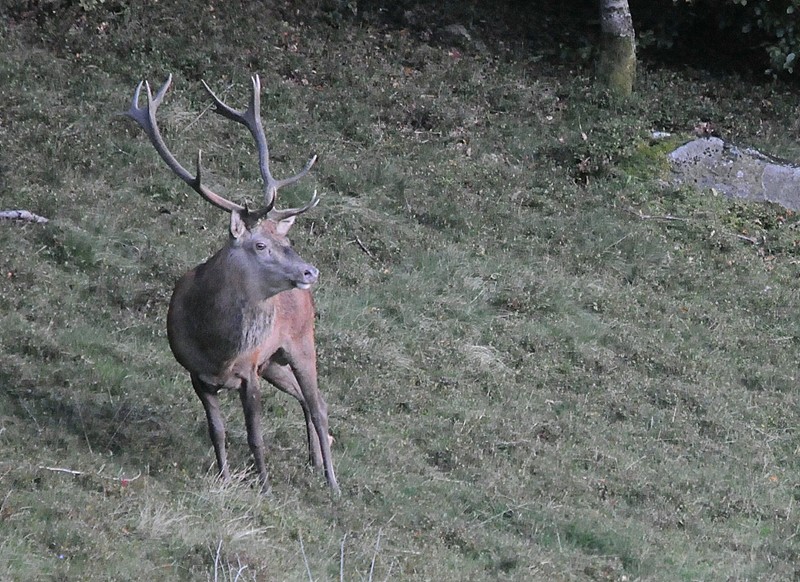 DSC_1985.JPG