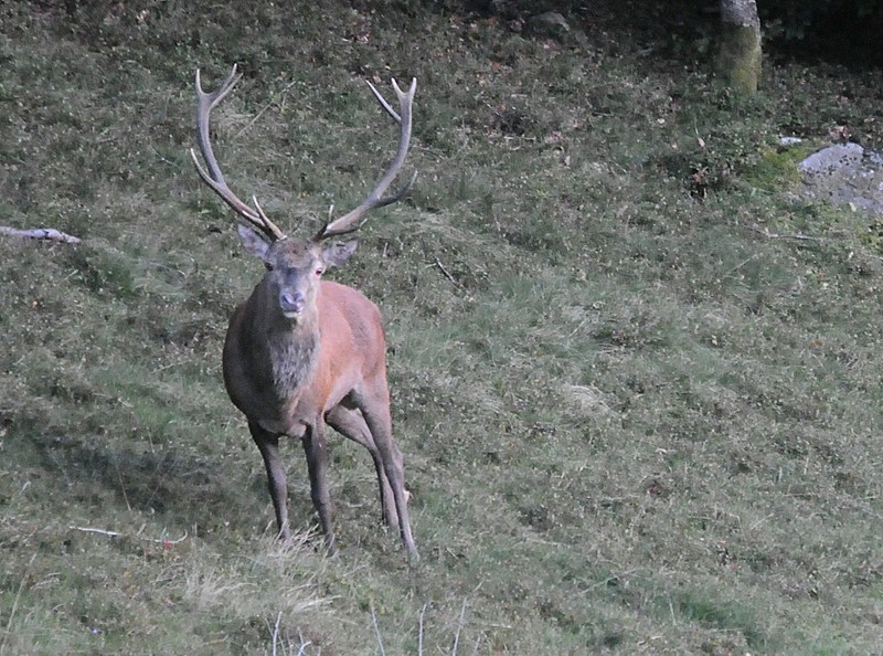 DSC_1991.JPG