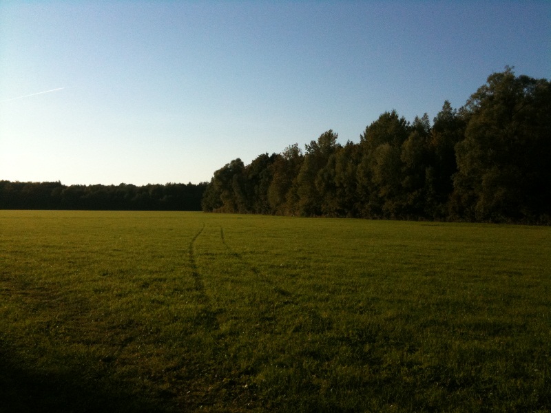 IMG_1124.JPG