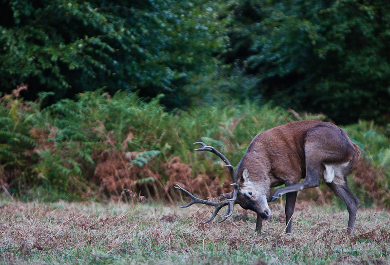 2009_09_19_CERF_037.jpg