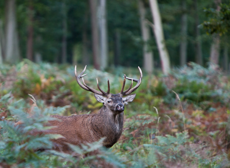 2010_09_25_CERF_021.jpg