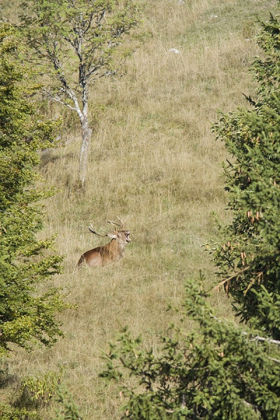IMG_9857.jpg