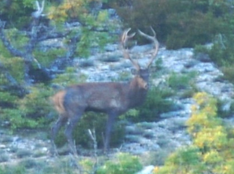 DSC_4847aa12a.jpg