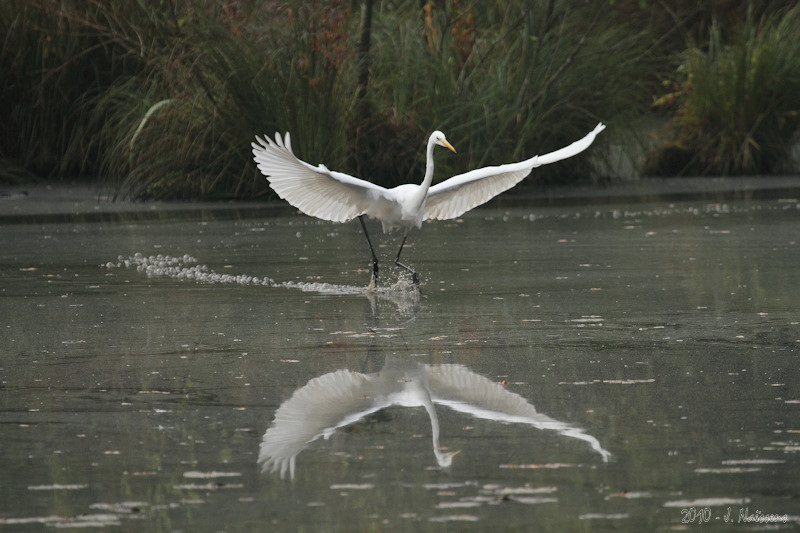 20101012_pca_0032_w.jpg