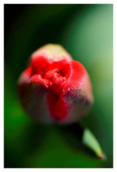 -F0492_CC.jpg