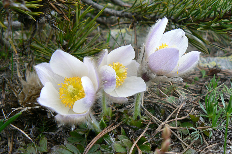 P1310279.JPG