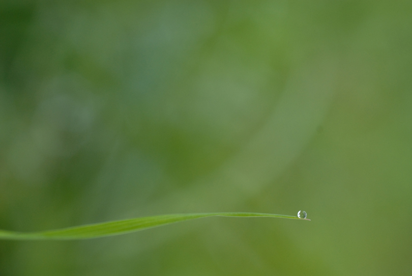 DSC_5993.jpg