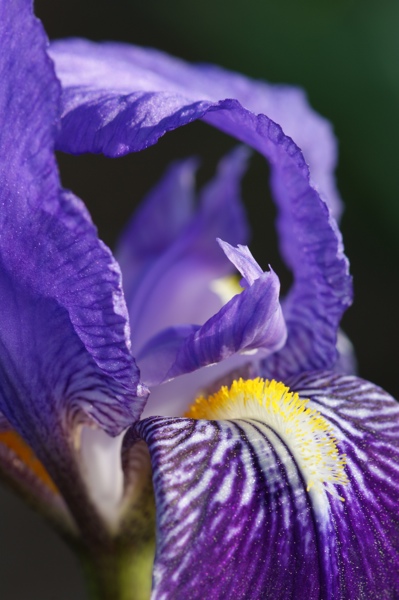 DSC03371-lr.jpg