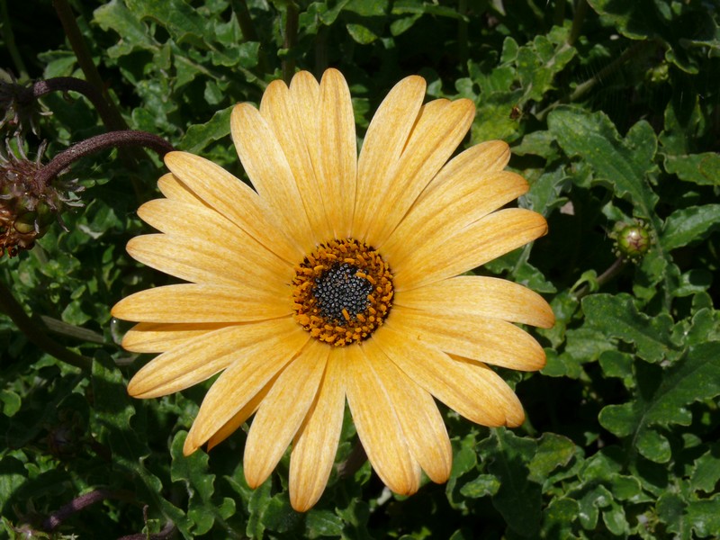 P1050753.JPG