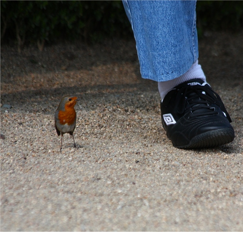 2leg.jpg