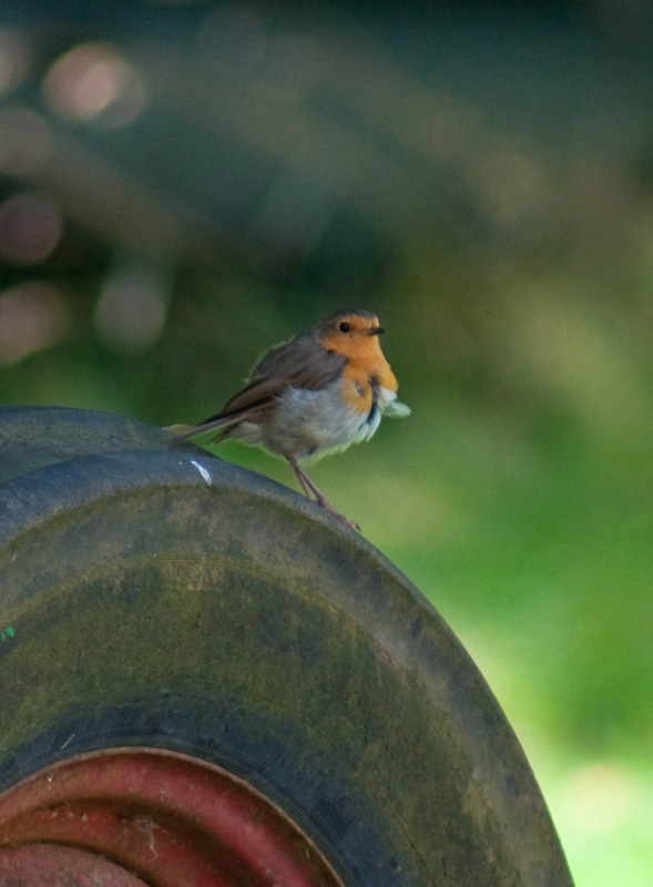 DSC_0359.jpg