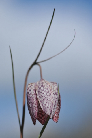 1.4000s f4 iso200.JPG