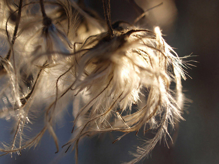 P1014152.jpg