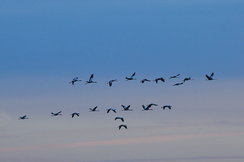 DSC_7014.jpg