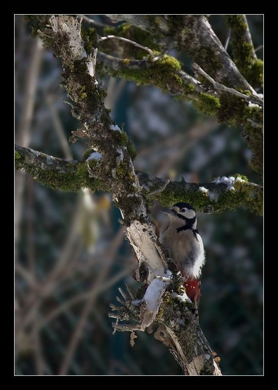 IMG_5924-4.jpg
