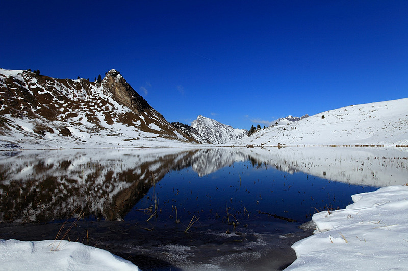 payneige3im.jpg