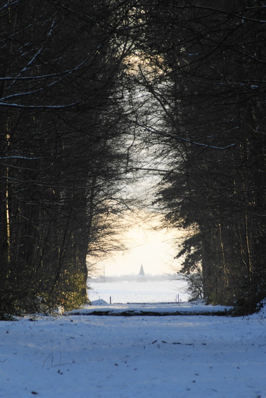 neige_l.jpg