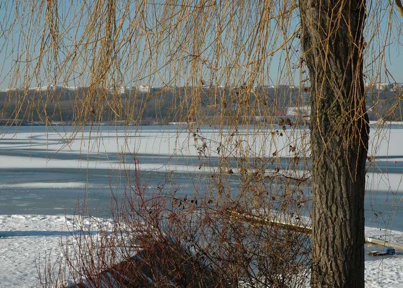 DSC_7381.JPGin.jpg