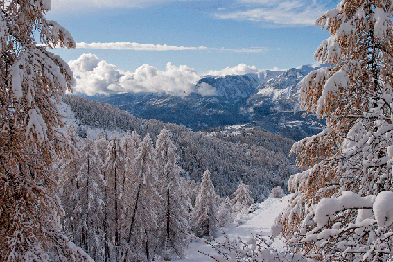 Valberg,-30.gif