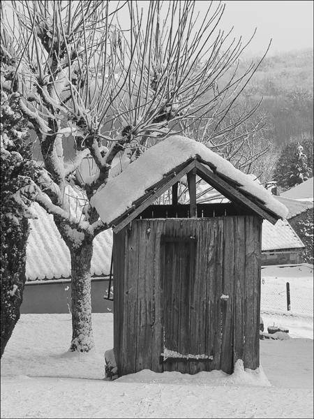 Cabane_3.jpg