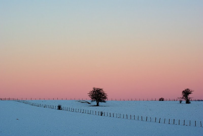 neige1.JPG