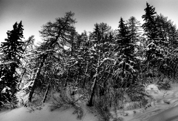 Alain Mathian photo 3.jpg