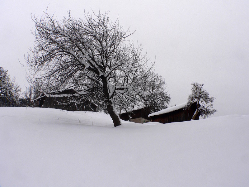 P1000077.JPG