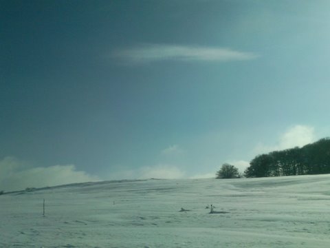 SNC00359.jpg