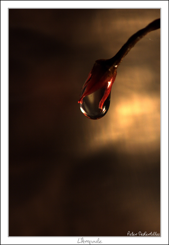 '-Ampoule - Mini.JPG